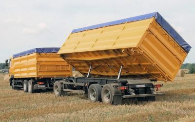 Услуги зерновозов для перевозки зерна - Орел, цены, предложения специалистов