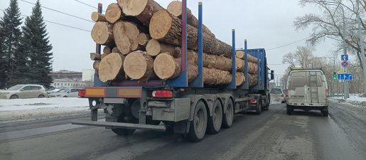 Поиск транспорта для перевозки леса, бревен и кругляка стоимость услуг и где заказать - Орел